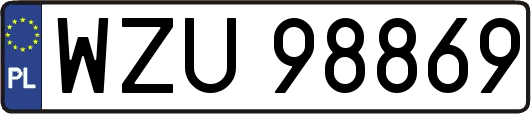 WZU98869