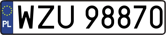 WZU98870