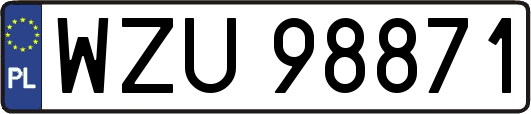 WZU98871