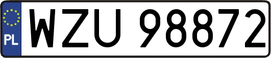 WZU98872