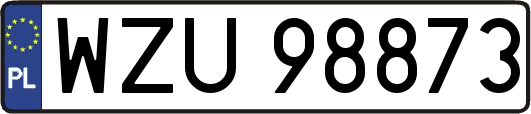 WZU98873