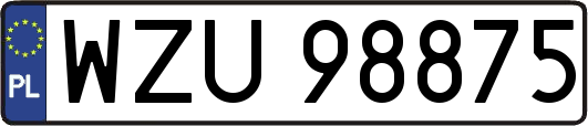 WZU98875