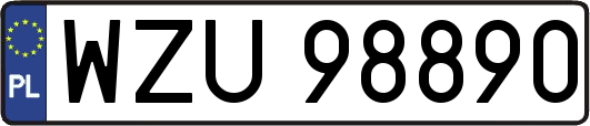 WZU98890