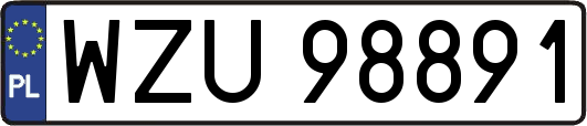 WZU98891