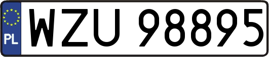 WZU98895