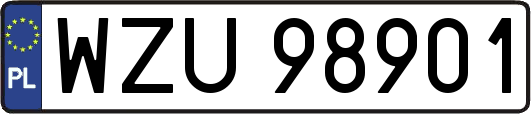 WZU98901