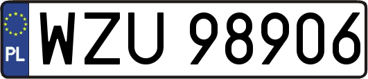 WZU98906