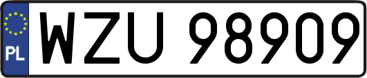 WZU98909