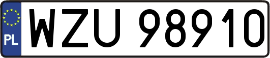 WZU98910