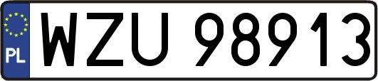 WZU98913