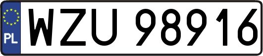 WZU98916