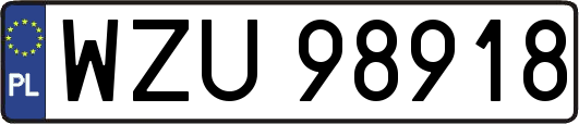 WZU98918