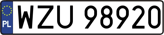 WZU98920