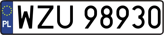 WZU98930