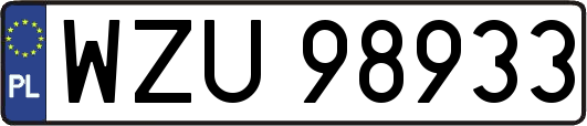WZU98933