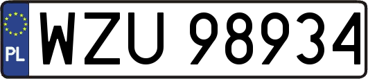 WZU98934