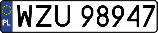 WZU98947