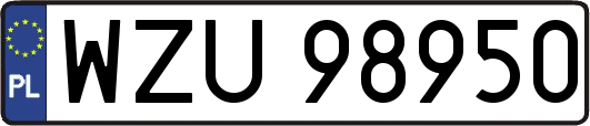 WZU98950