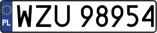 WZU98954