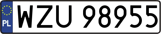 WZU98955