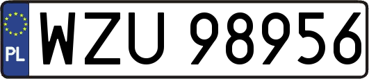 WZU98956