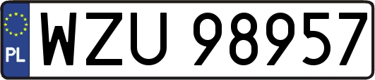 WZU98957
