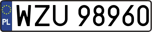 WZU98960