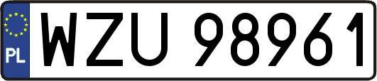 WZU98961