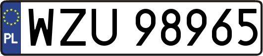 WZU98965