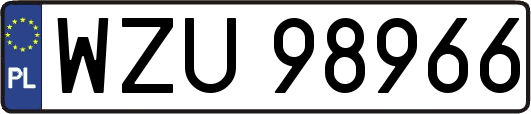 WZU98966