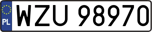 WZU98970