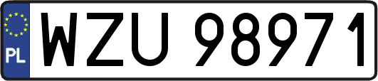 WZU98971