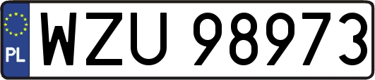WZU98973