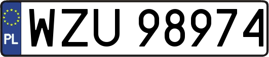 WZU98974