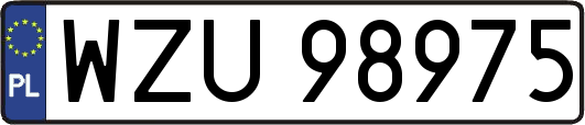 WZU98975