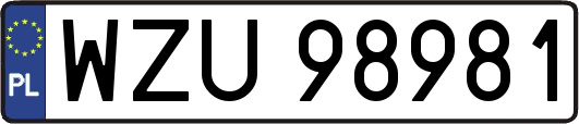 WZU98981