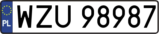 WZU98987