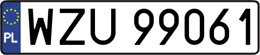 WZU99061