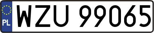 WZU99065
