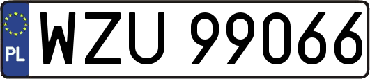WZU99066