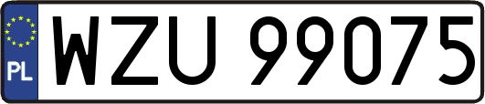 WZU99075