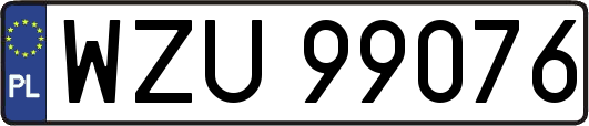 WZU99076