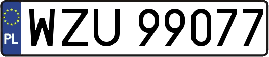 WZU99077