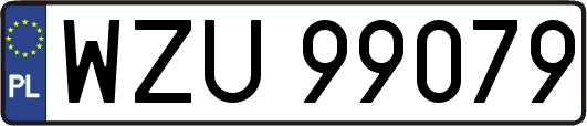 WZU99079