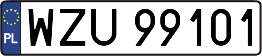 WZU99101