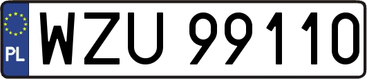 WZU99110