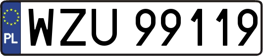 WZU99119