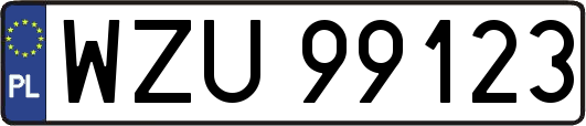 WZU99123