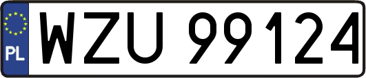 WZU99124