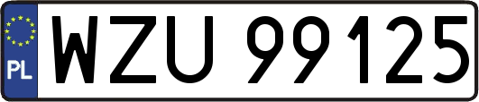 WZU99125